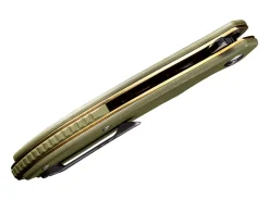 Aquila Green