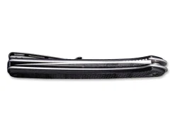 Asticus Damascus