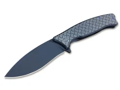 Balaenoptera Black
