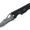 Bantay Serrated