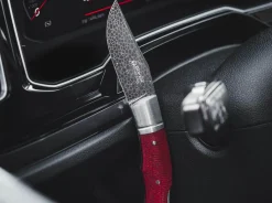 Boxer Damascus
