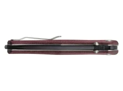 Gekko 1555