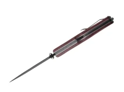 Gekko 1555