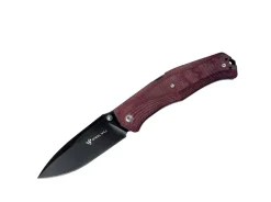 Gekko 1505