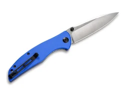 Governor Blue