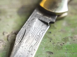 Junior Scout Curly Birch Brown Damascus