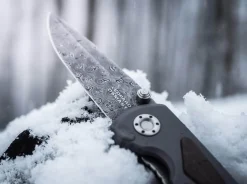 Leopard-Damascus I