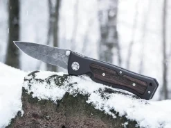 Leopard-Damascus Ii