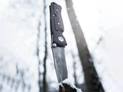 Leopard-Damascus Ii