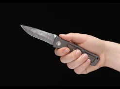 Leopard-Damascus Ii