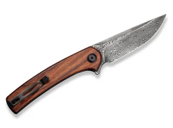 Mini Asticus Cuibourtia Damascus