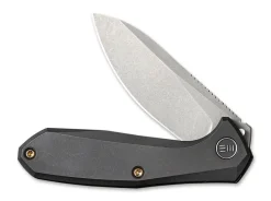 Mote Black