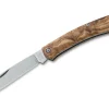 Nauta Olive