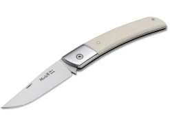 Npv Ivory