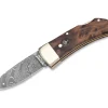 Pocket Thuja Damascus
