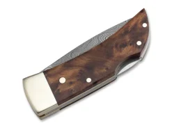 Pocket Thuja Damascus