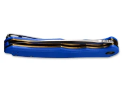 Praxis Blue