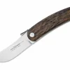 Rhino Brown