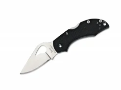 Robin G10