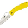 Salt 2 Yellow