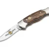 Scout Anniversary 150