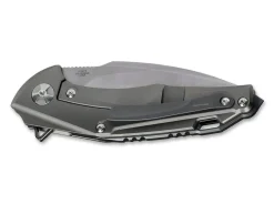 Shark Tooth Dark Gray