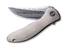 Synergy 2 Damascus