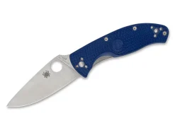 Tenacious Blue