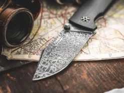Tiger-Damascus