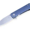 Yorkie Blue
