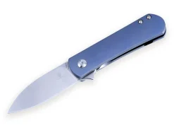 Yorkie Blue