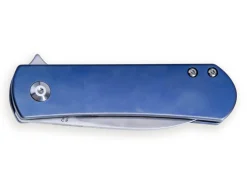 Yorkie Blue